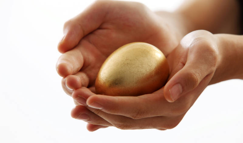 O Segredo da galinha dos ovos de ouro e de passar em concurso público